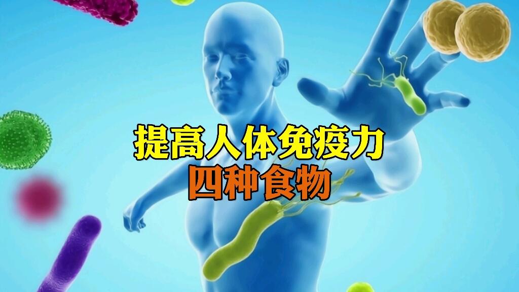 提高人体免疫力的四种食物 - 哔哩哔哩