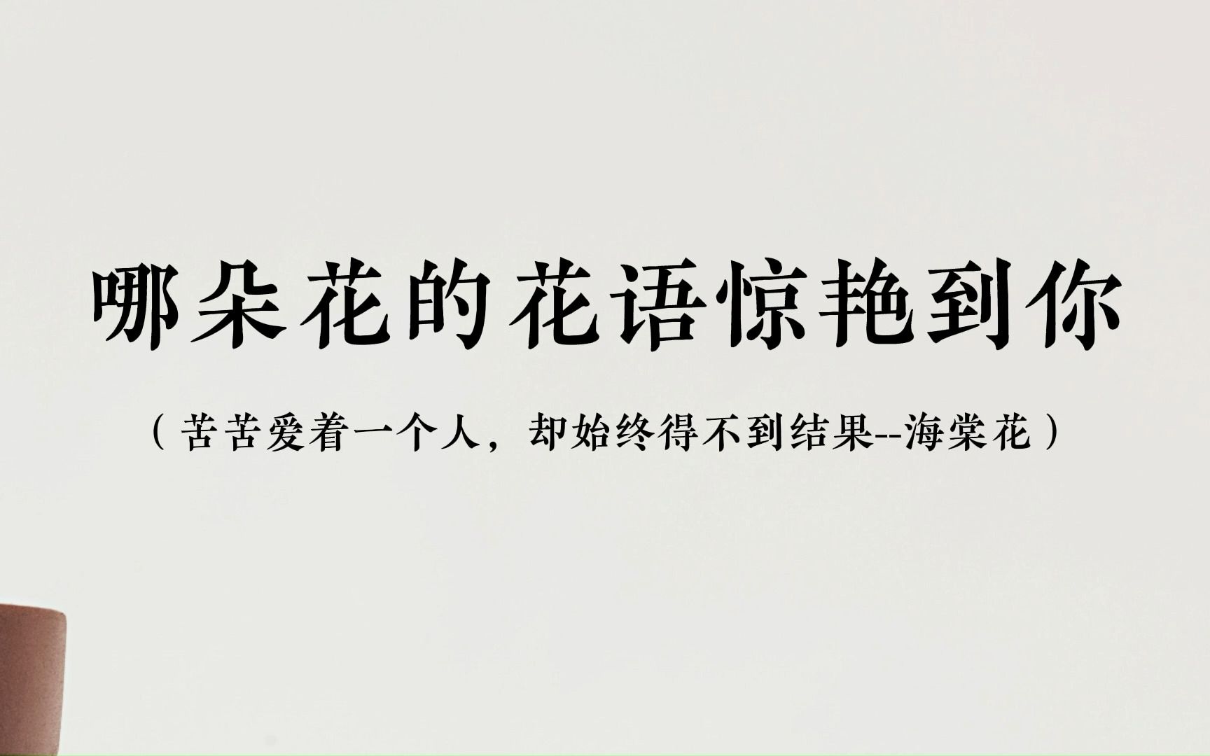 哪朵花的话语惊艳到你|是希望,是勇敢,是纯洁的爱,是藏在心底的爱小雏菊哔哩哔哩bilibili