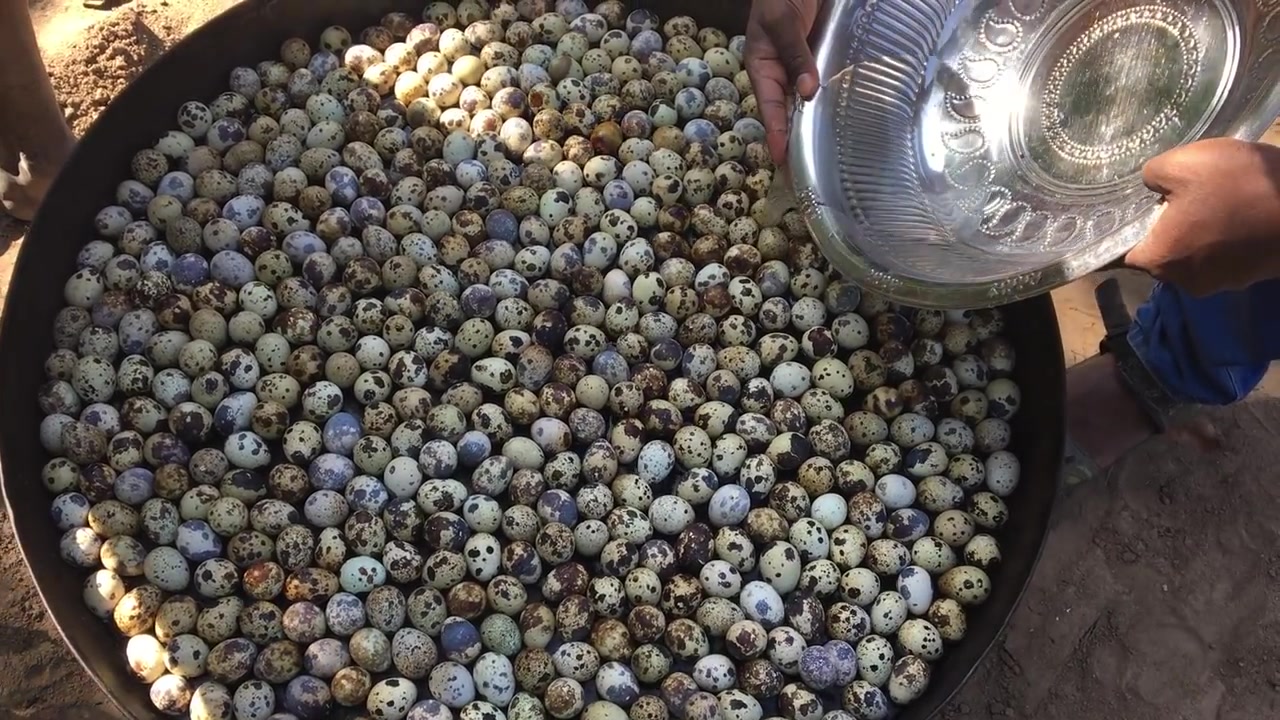 美食猎奇用500颗鹌鹑蛋治好你的密集恐惧症