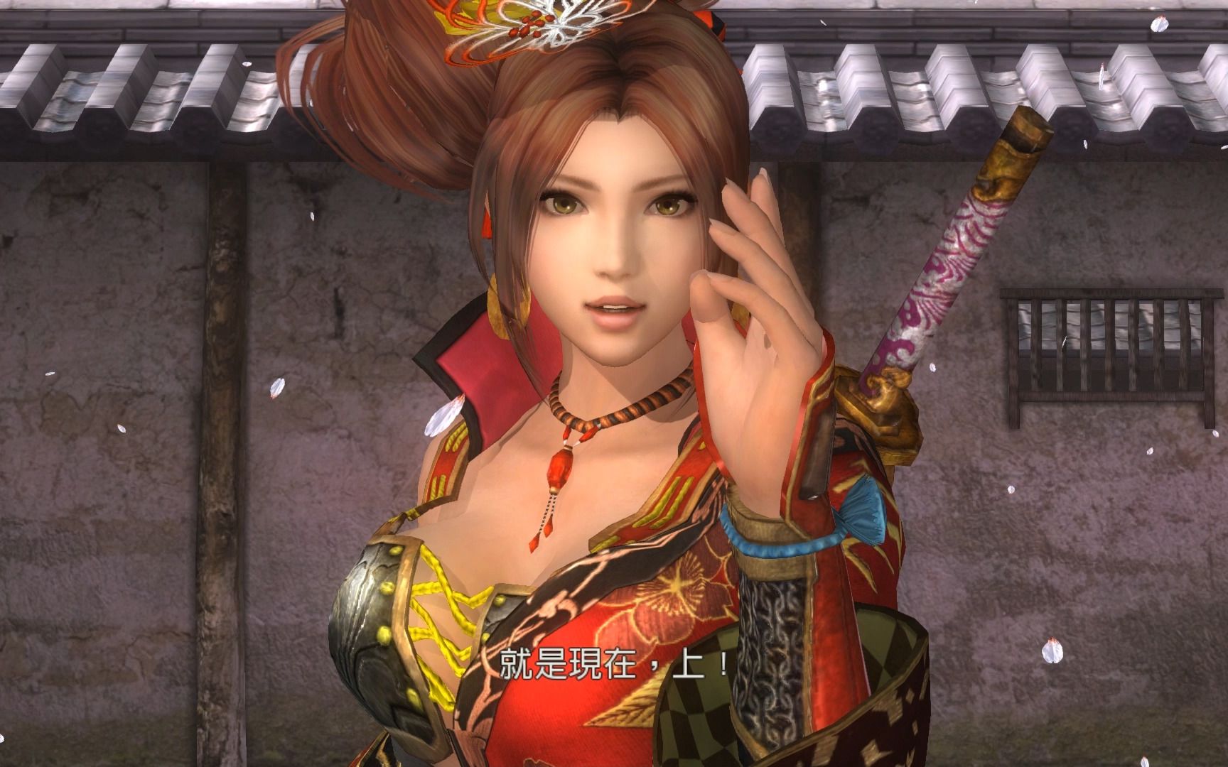 死或生5——战国无双之甲斐姬(虎妈)vs红井伊直虎