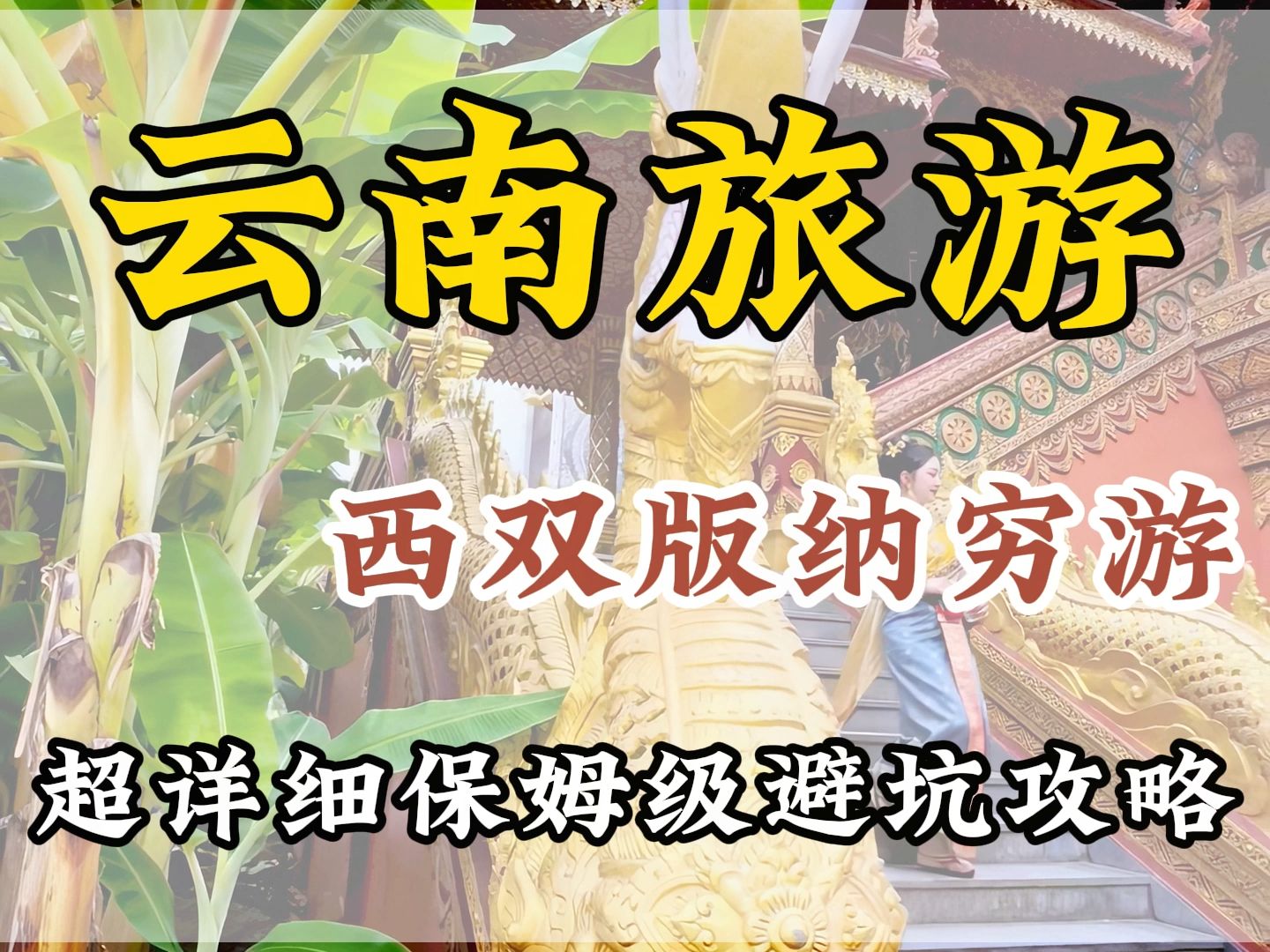 如果你第一次去西双版纳,那这份超级详细的保姆级攻略请一定看完,视频较长但干货满满!哔哩哔哩bilibili