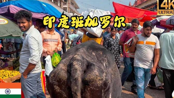 班加罗尔大公/-哔哩哔哩_bilibili