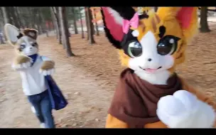 Download Video: furry//fursuit. 1st Anniversary Diary with Miko