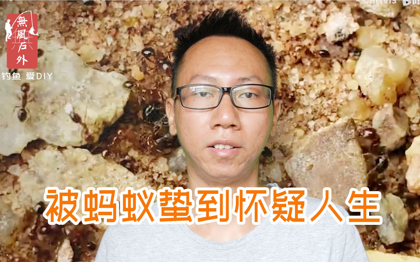 [图]钓鱼时被小小蚂蚁咬了几口，差点就进了医院。看到它请赶紧跑