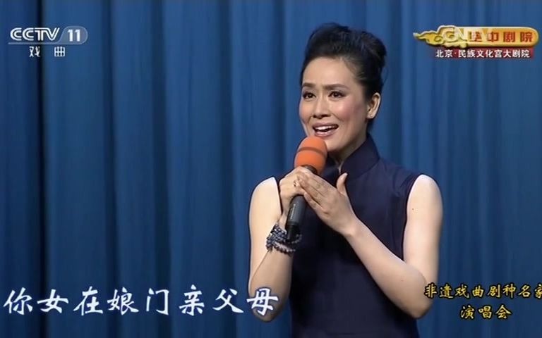 [图][片段集合]王君安(便装)唱词字幕《盘妻索妻-娘子的心事+娘子她怎么还不来呀》