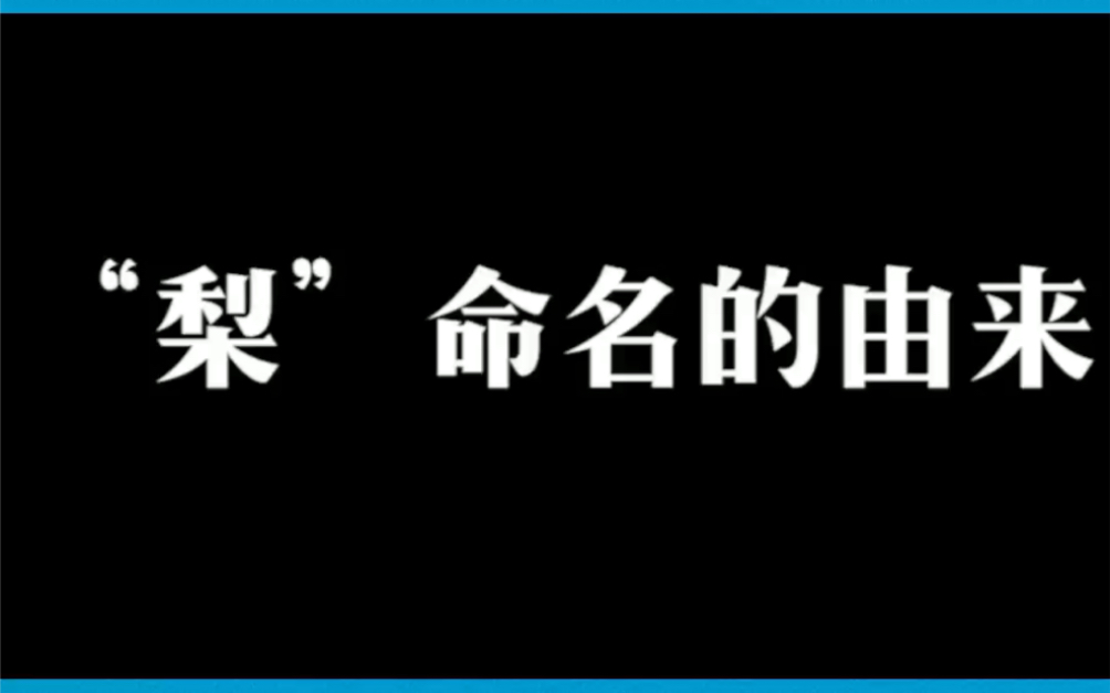 “梨”命名的由来哔哩哔哩bilibili