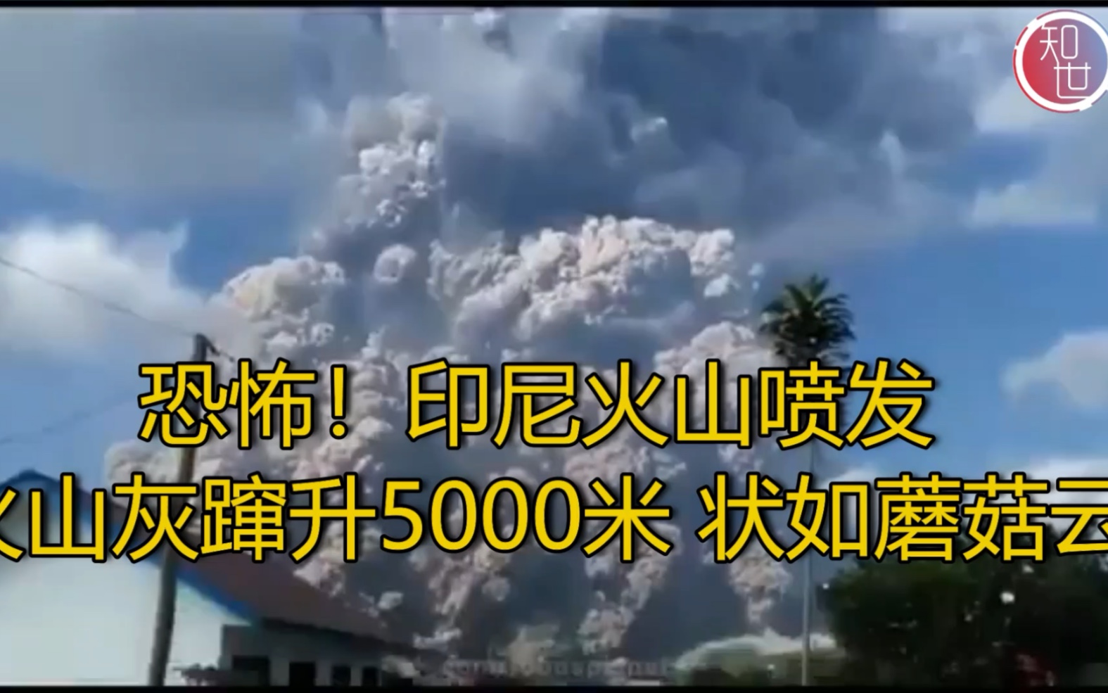 【恐怖!印尼火山喷发 火山灰蹿升5000米 状如蘑菇云】哔哩哔哩bilibili