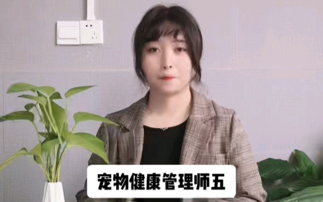 宠物健康师证怎么考?哔哩哔哩bilibili