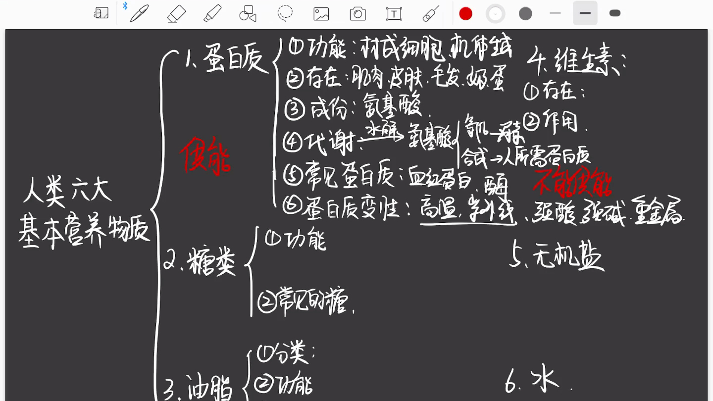 化学与生活:六大基本营养物质哔哩哔哩bilibili