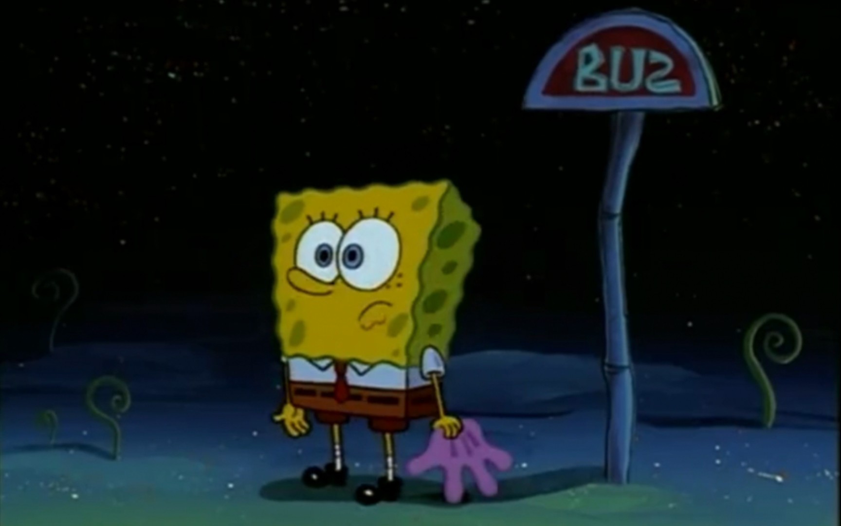 今日分享|海绵宝宝|石头海滩