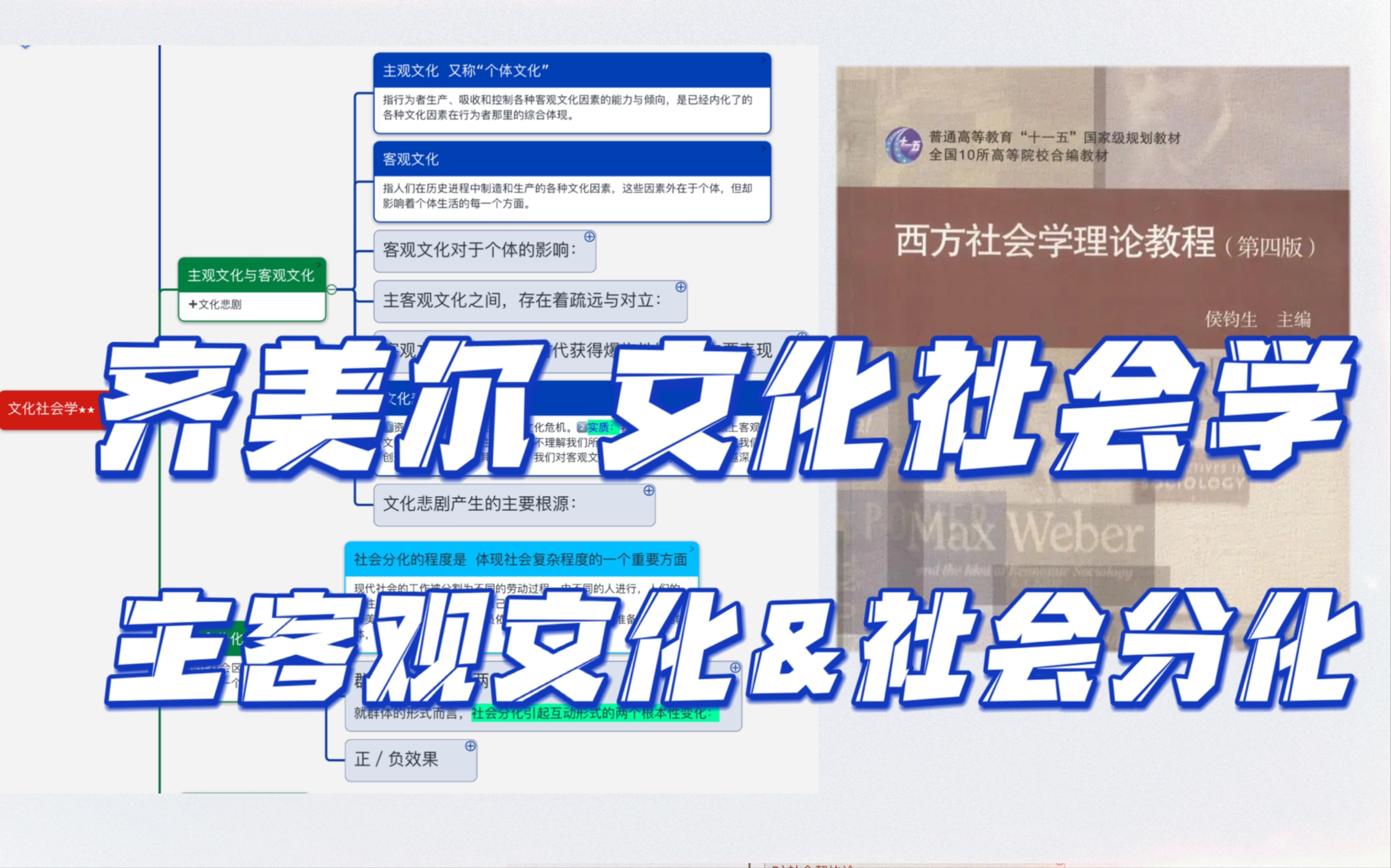 齐美尔 |文化社会学 |主客观文化文化悲剧|社会分化 |《西方社会学理论教程》背书 |社会学考研哔哩哔哩bilibili