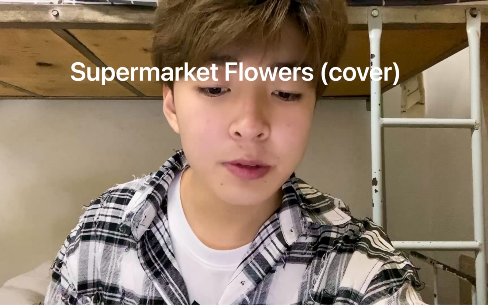 活動作品supermarketflowerscover