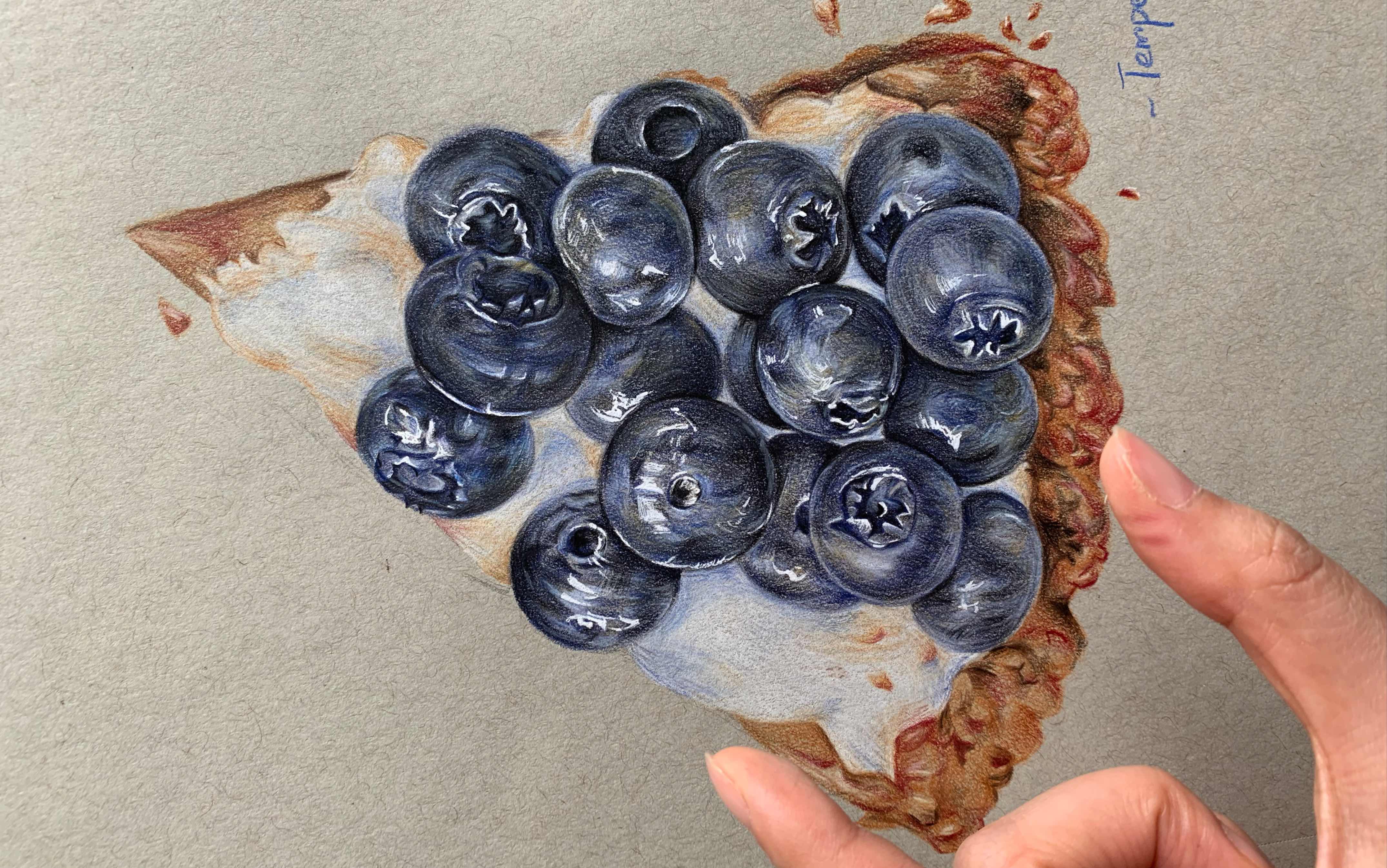 彩铅手绘写实蓝莓蛋糕