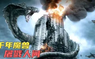 神龙 哔哩哔哩 Bilibili