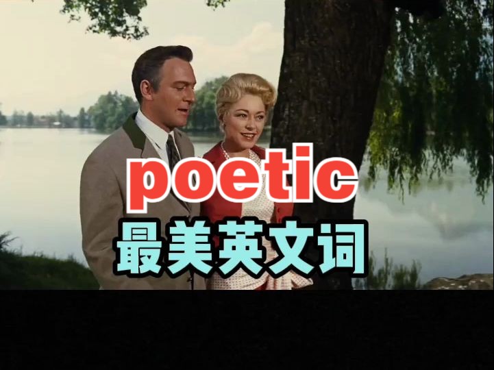 看电影学单词,最美英文词之“poetic”哔哩哔哩bilibili