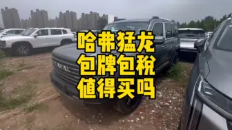 Descargar video: 15万多包牌包税的#哈弗猛龙 值得买吗？值个屁呀！#怼个特价车