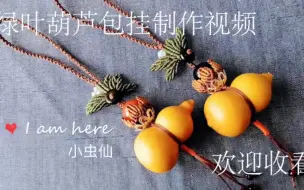 Video herunterladen: 绿叶葫芦包挂制作视频