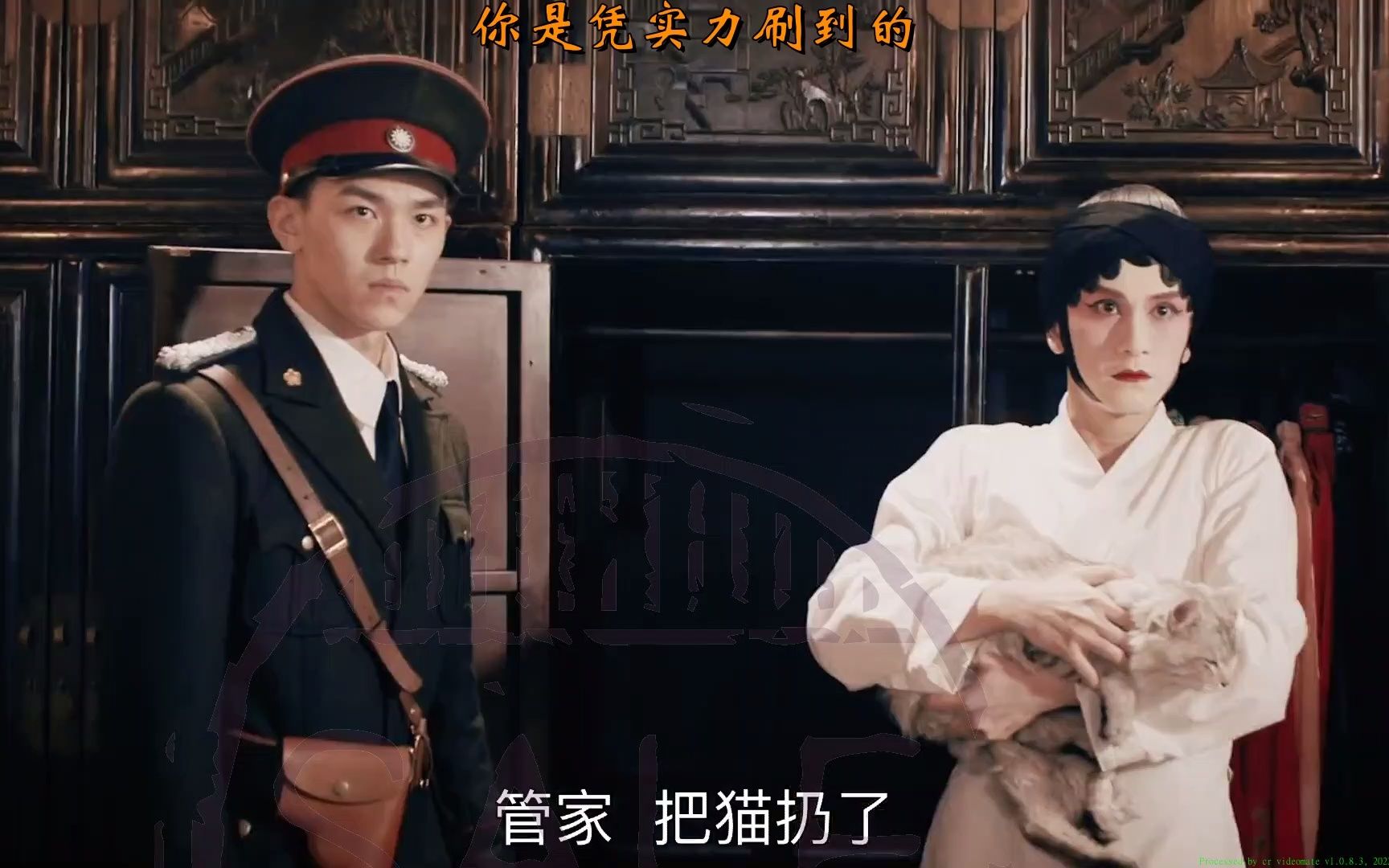 长沙布防官x养猫达人公子哥你帮我养猫我帮你办案这也太绝了