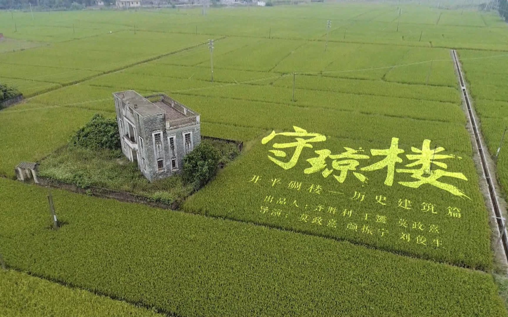 [图]那些守候在老家的人是中国人的根—《中国民居》开平碉楼村落 传承篇