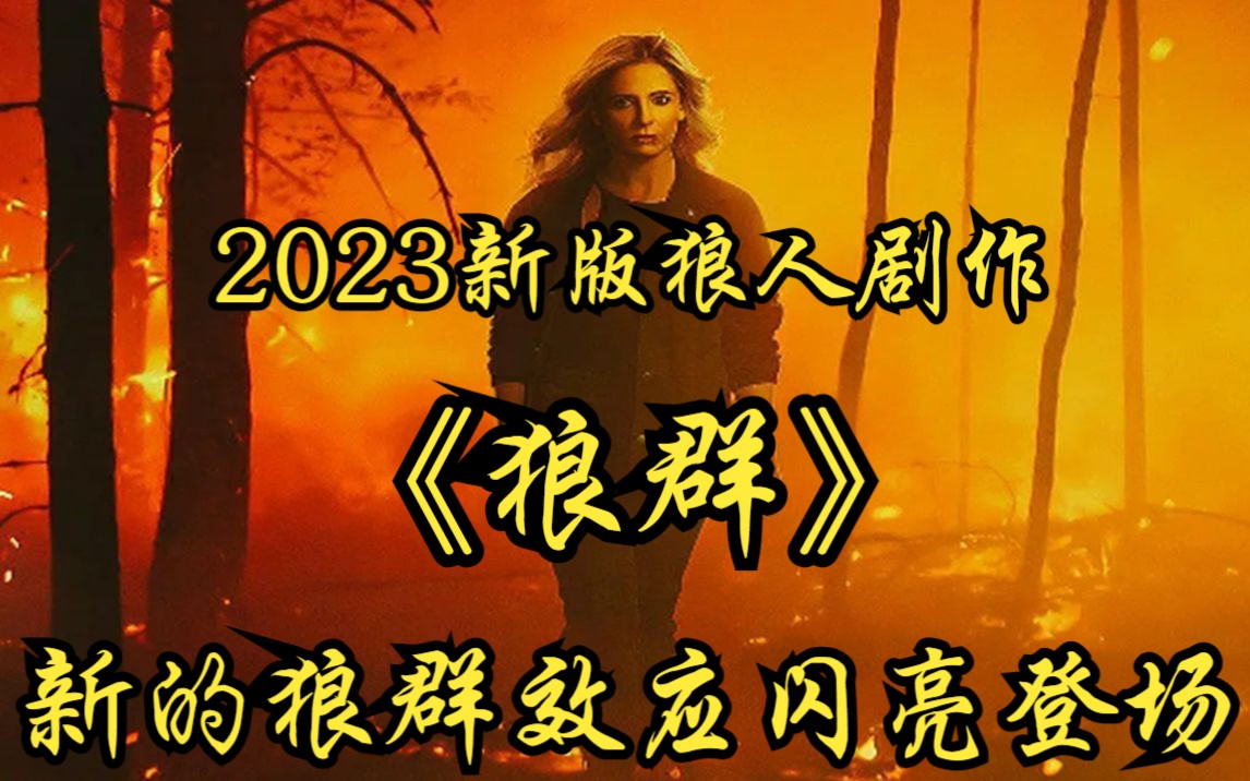 一口气看完2023新版狼人剧作【狼群】新的狼群效应闪亮登场!