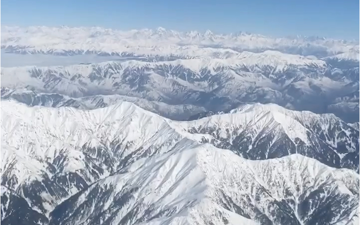 雪山鸟图片