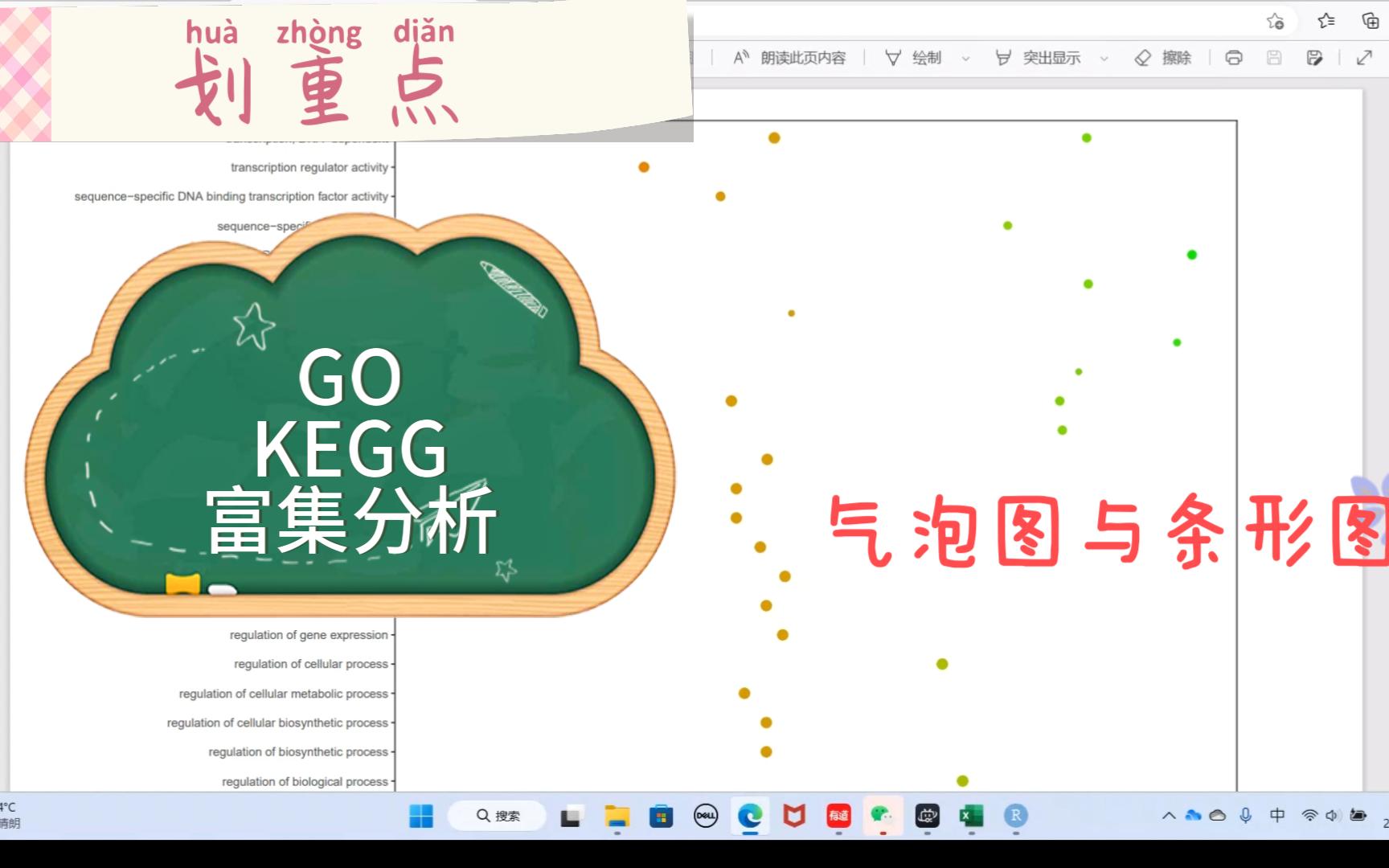 一招搞定“GO和KEGG富集分析”哔哩哔哩bilibili