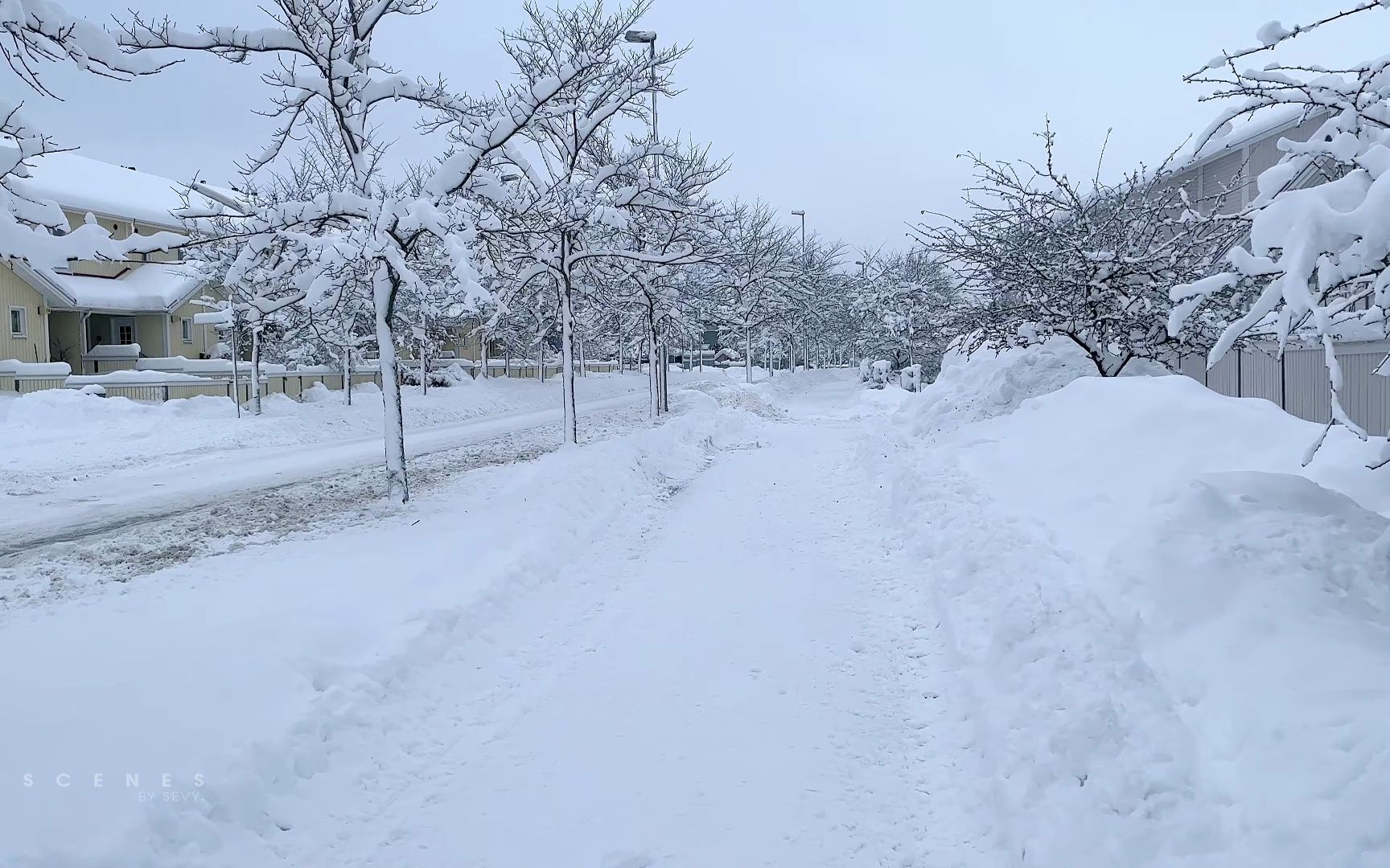 芬兰一个小村庄的雪地漫步