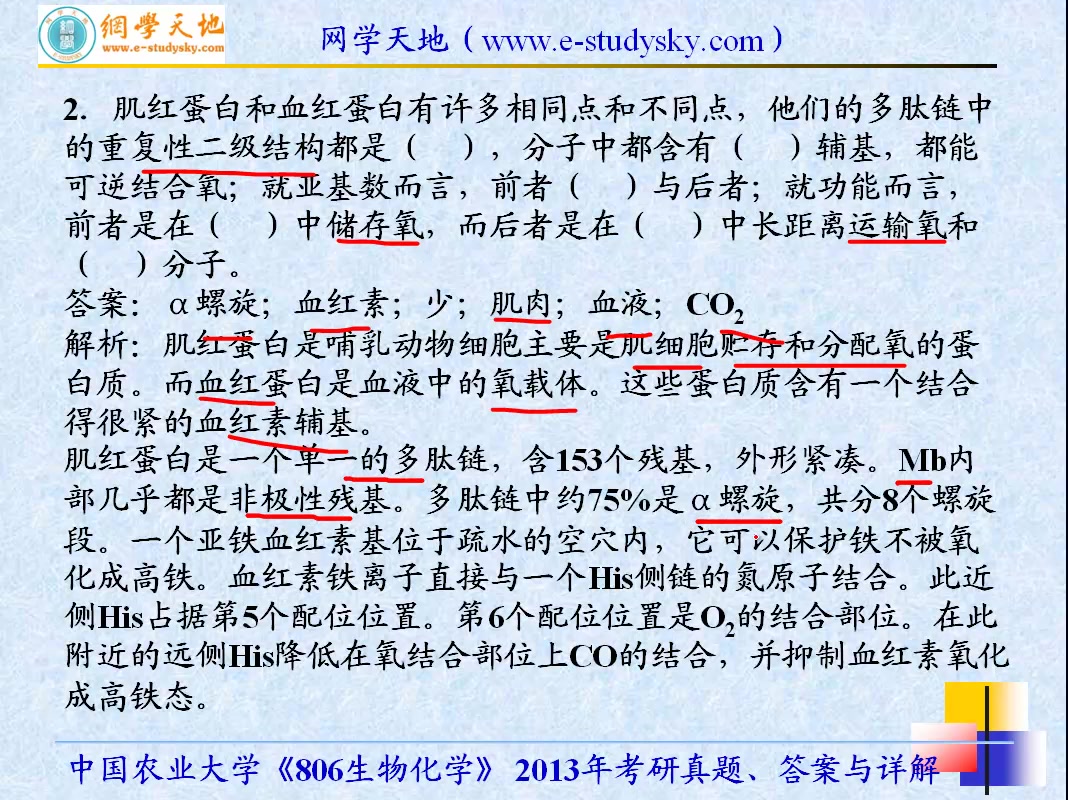 [图]农大中农中国农业大学806生物化学考研真题答案与详解网学天地