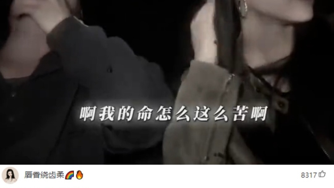 “喝多了鸡汤，第一次喝鸭汤”
