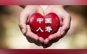 我与国寿的故事哔哩哔哩bilibili