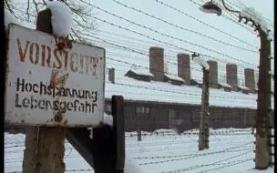 Download Video: 【纪录片】奥斯维辛大审判.Verdict on Auschwitz（1993/中字）