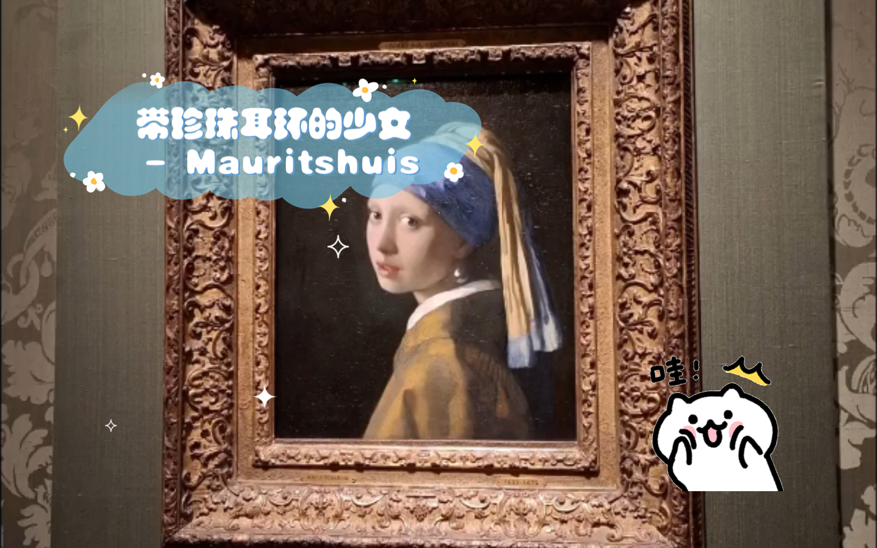 带珍珠耳环的少女 - mauritshuis 美术馆