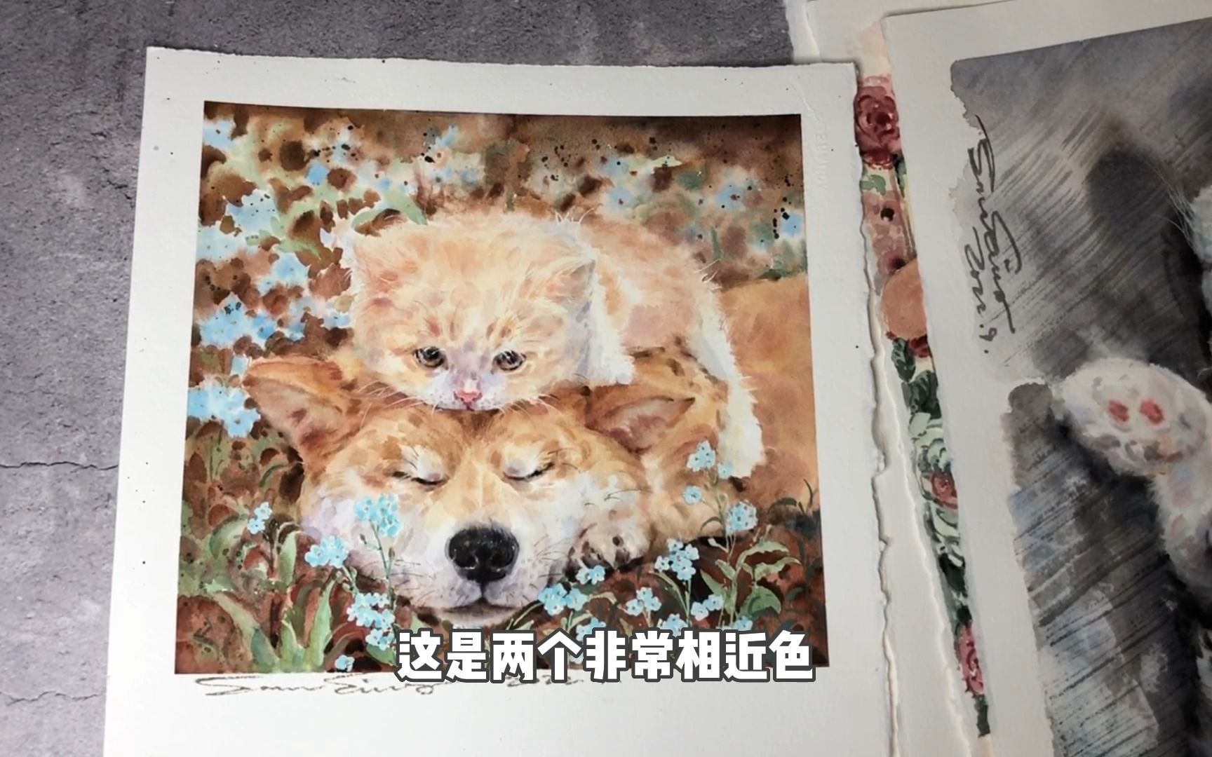 猫狗治愈一切 | 如何画出这些可爱的小萌宠哔哩哔哩bilibili