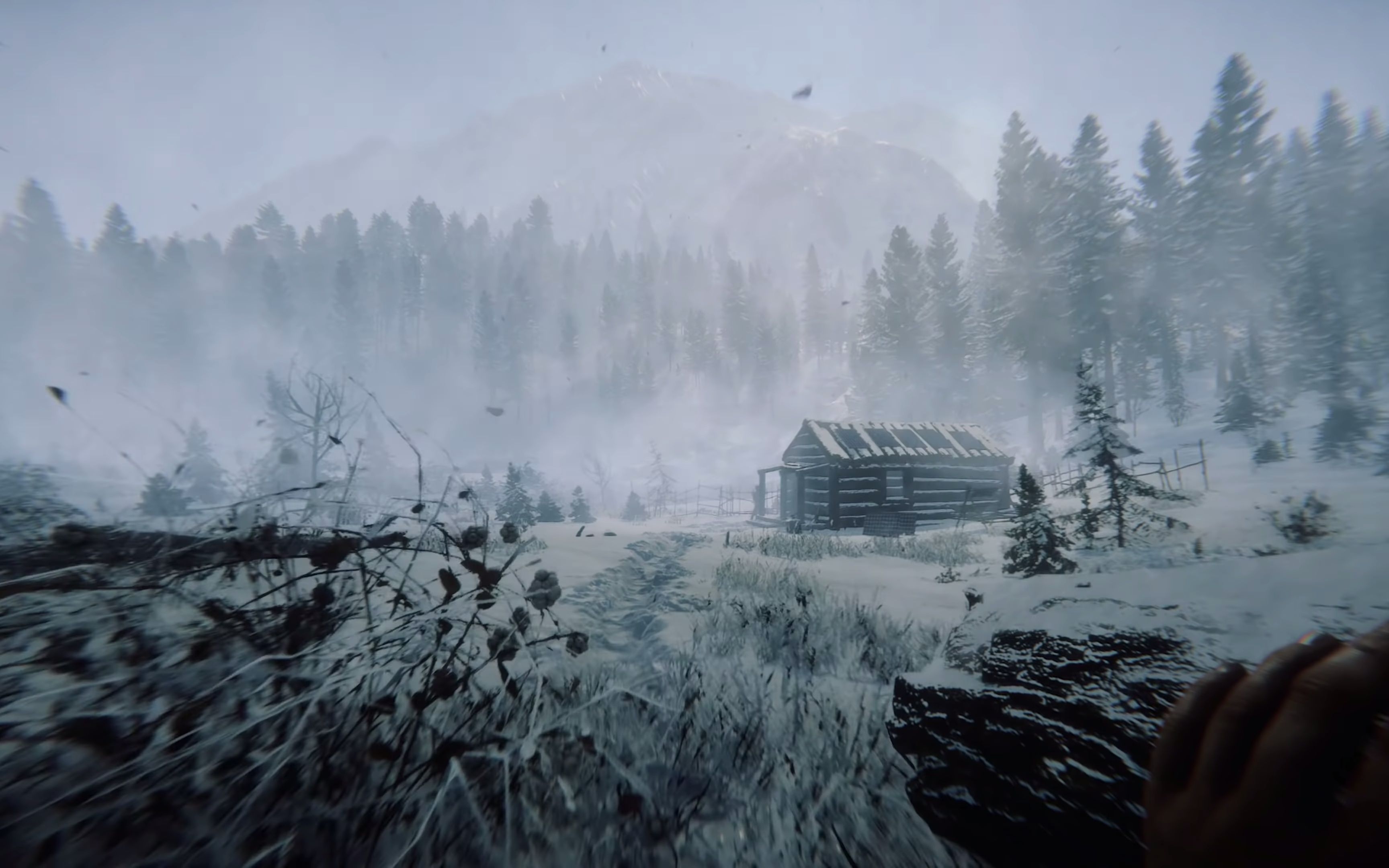 森林2-森林之子-官方宣传片