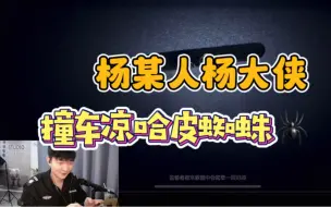 Download Video: 【杨某人&杨大侠撞车凉哈皮】大侠带飞，嘴硬ymm表示我吸引了火力