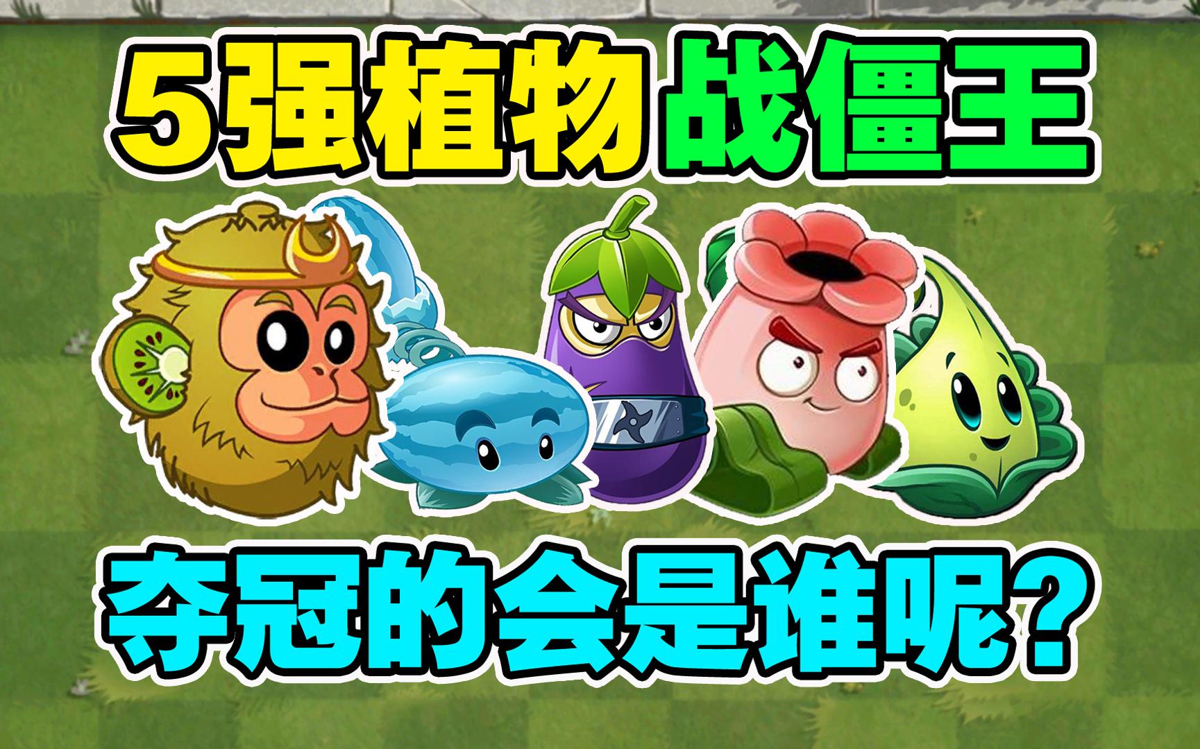 植物大战僵尸:5强植物实战测试pk战僵王,谁会夺得最后的冠军?