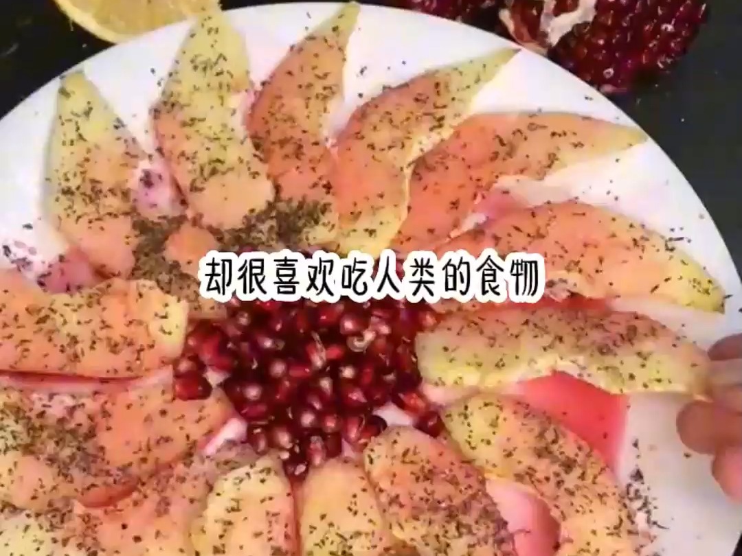 蛇妖午饭图片