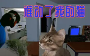 Télécharger la video: 猫出事了，种种线索却指向自己