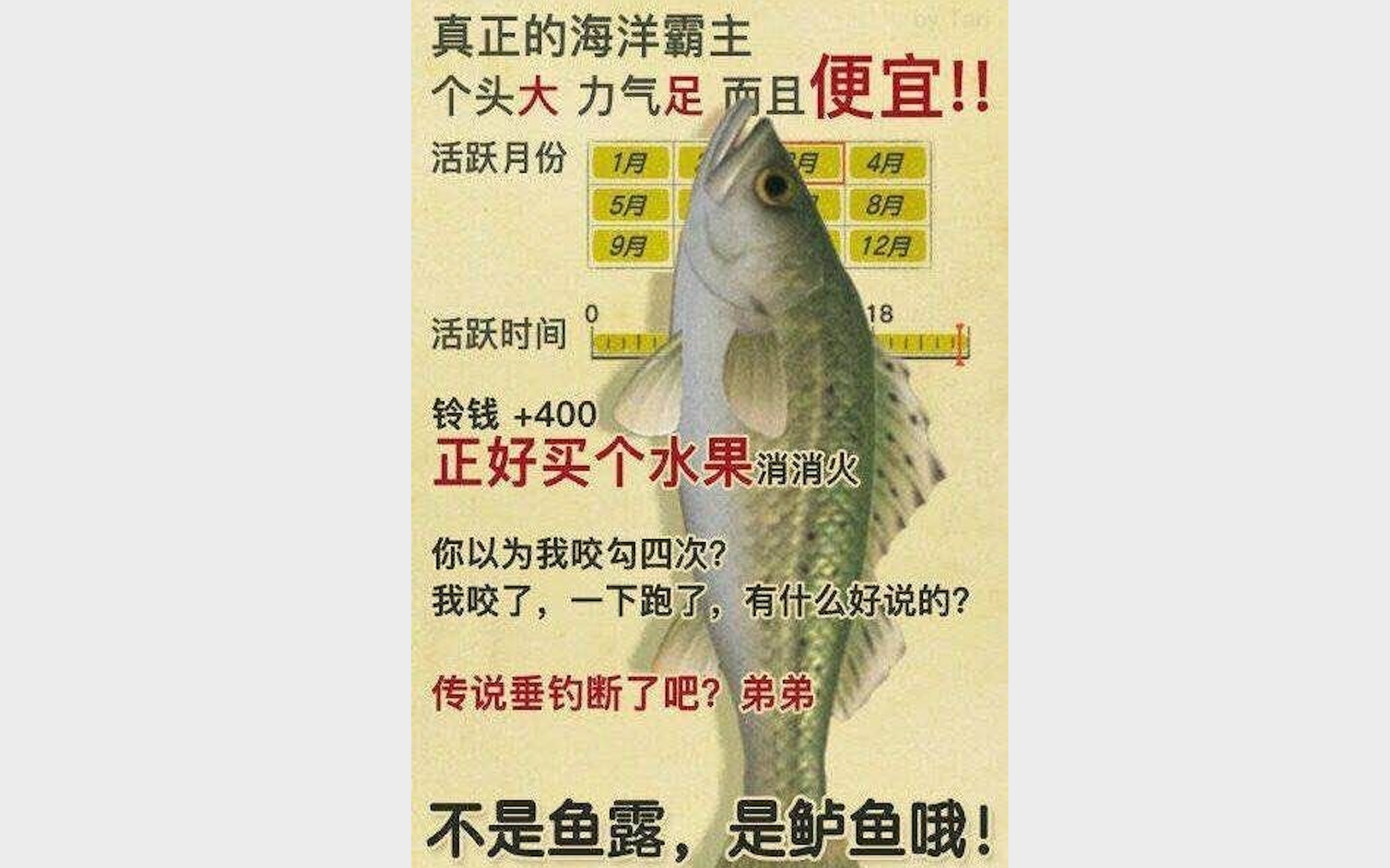 动物森友会,鲈鱼有约!一首《鲈鱼》献给大家!