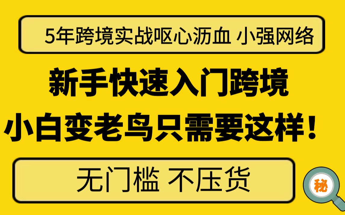 新手小白快速入门跨境电商 外贸|电商|跨境哔哩哔哩bilibili