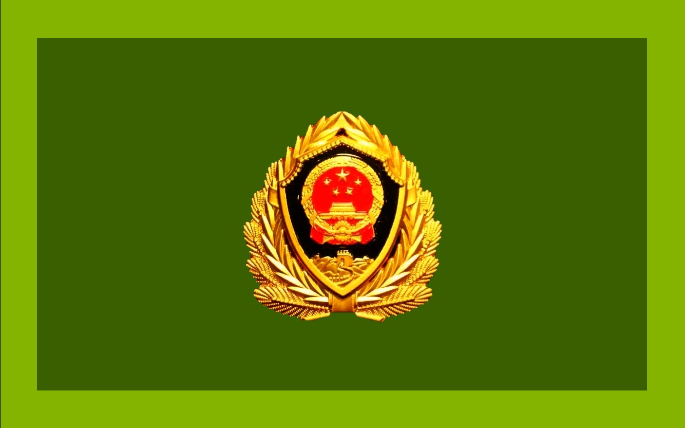 武装警察 logo图片