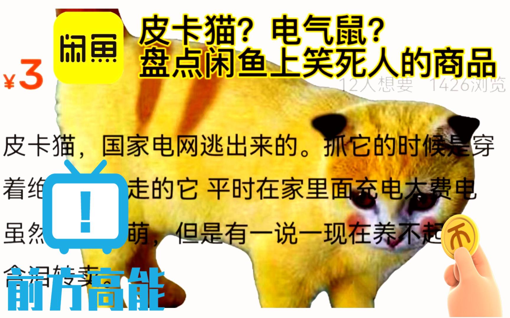 [图]皮卡猫？电气鼠？闲鱼上只有你想不到，没有你见不到。盘点闲鱼上那些笑死人的商品（4）