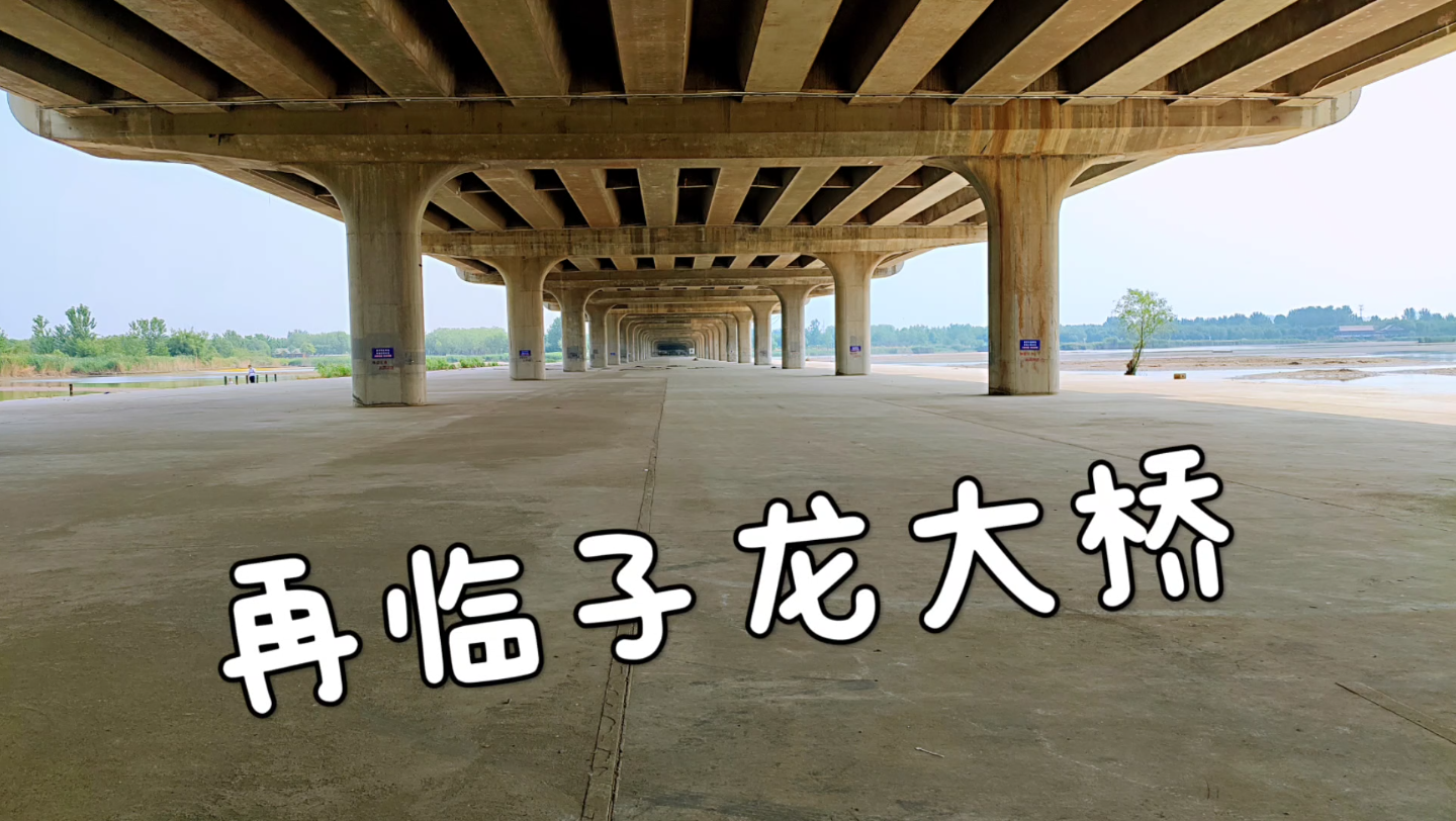 活動 再臨子龍大橋