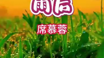 诗歌:《雨后》(席慕容)诵读文子哔哩哔哩bilibili