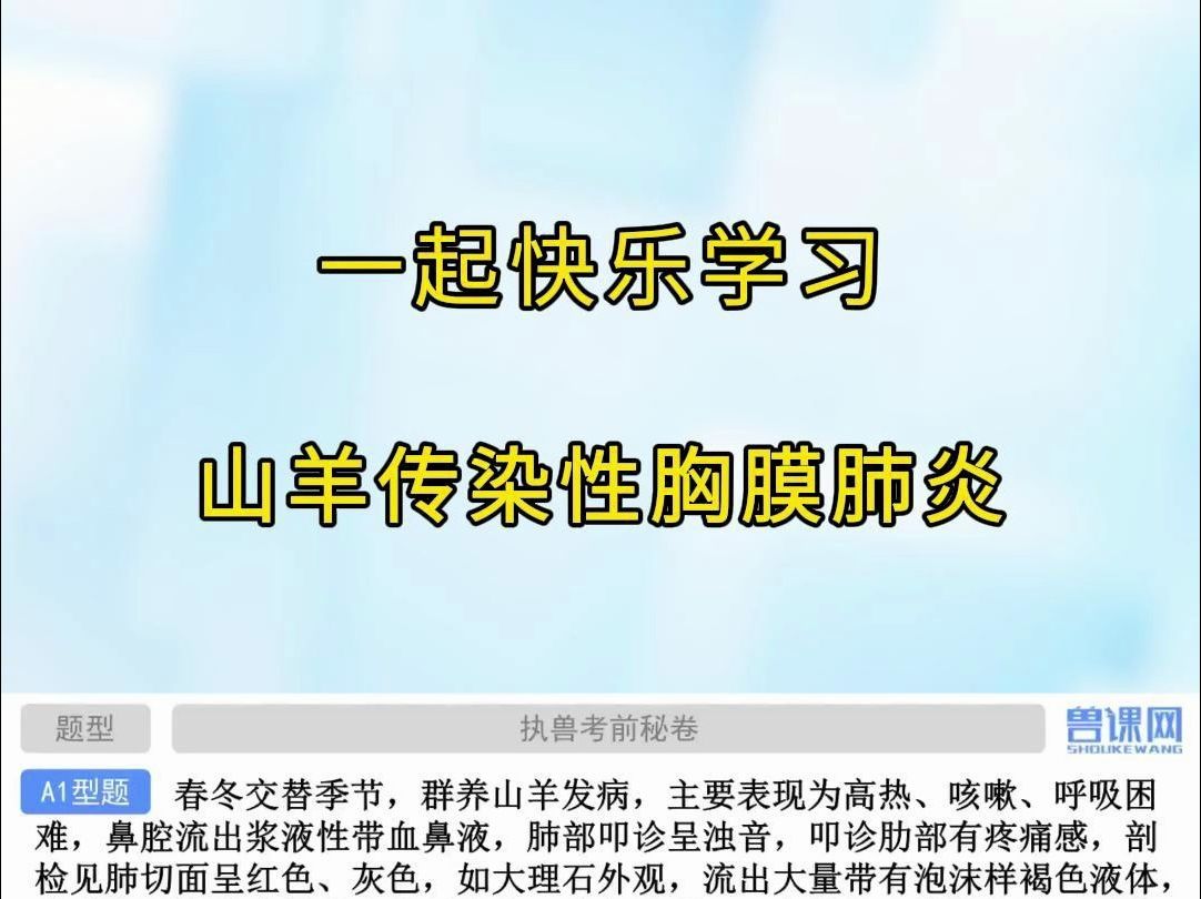 山羊传染性胸膜肺炎的临床症状,快来听老师知识点详解,满满都是干货!快 @ 你的学习搭子来听课!哔哩哔哩bilibili