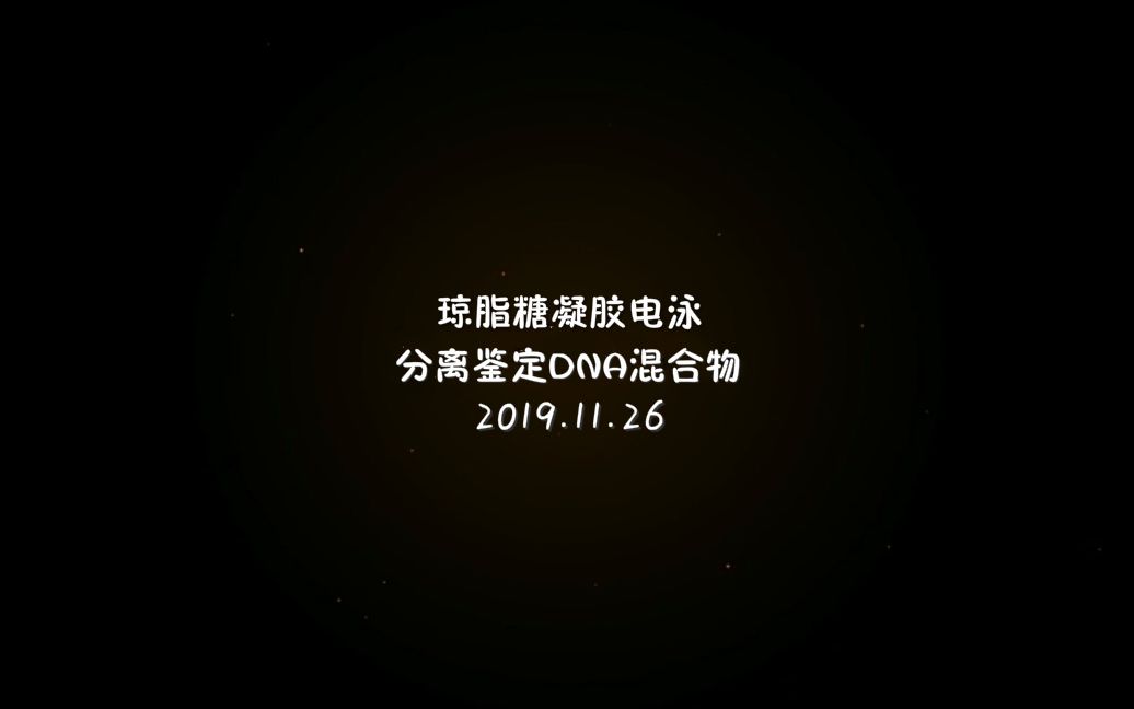 微生物基因组DNA的提取及检测实验之电泳哔哩哔哩bilibili