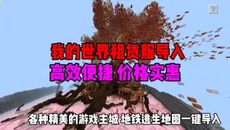 我的世界租赁服建筑/地图画/照片 导入，价格实惠速度高效