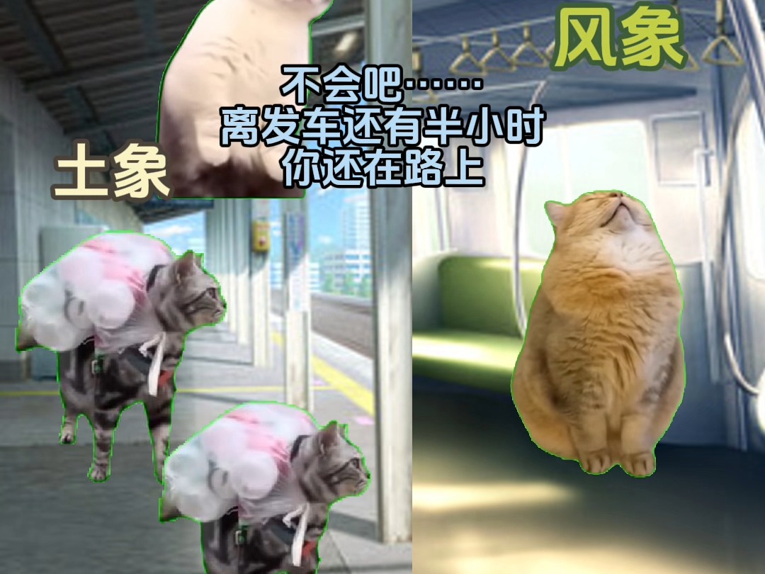 【猫meme】当十二星座赶车哔哩哔哩bilibili