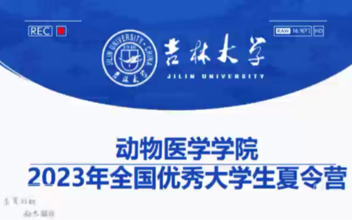 吉林大学动物医学学院夏令营哔哩哔哩bilibili