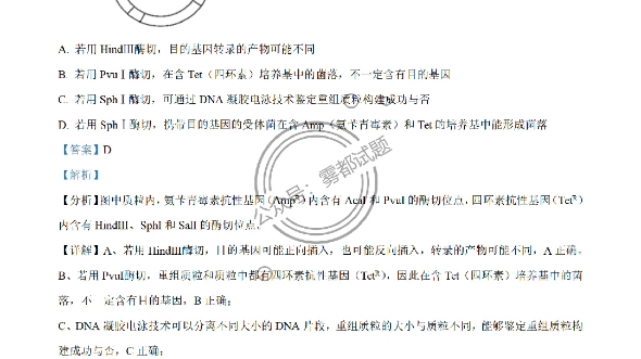 2023年湖北高考生物试卷及详细解析答案(资料来源于雾都试题)哔哩哔哩bilibili